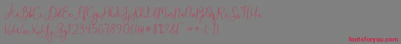 ReadingRegular Font – Red Fonts on Gray Background