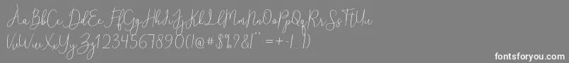 フォントReadingRegular – 灰色の背景に白い文字