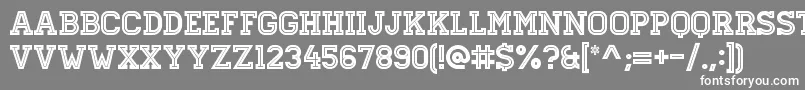 HomesteadInline Font – White Fonts on Gray Background