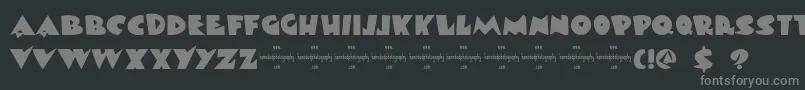 DkViareggio Font – Gray Fonts on Black Background