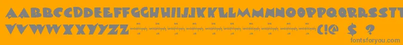 DkViareggio Font – Gray Fonts on Orange Background