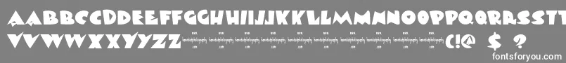 DkViareggio Font – White Fonts on Gray Background