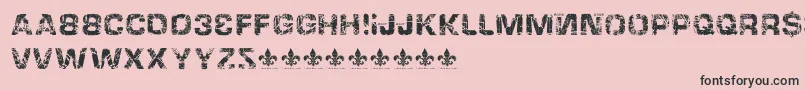 HackingtrashedRegular Font – Black Fonts on Pink Background