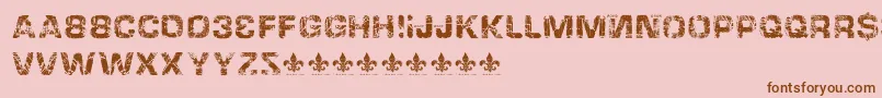 HackingtrashedRegular Font – Brown Fonts on Pink Background