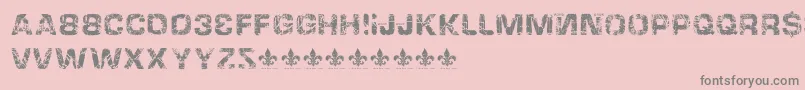 HackingtrashedRegular Font – Gray Fonts on Pink Background