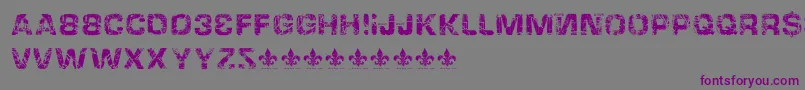 HackingtrashedRegular-fontti – violetit fontit harmaalla taustalla