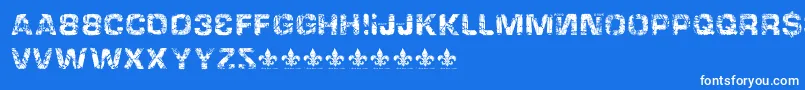 HackingtrashedRegular Font – White Fonts on Blue Background