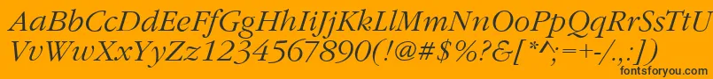 GarfeldNovaLightItalic Font – Black Fonts on Orange Background