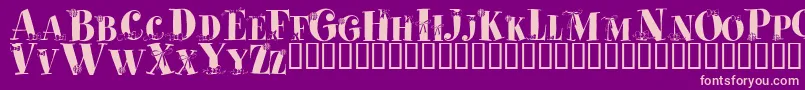 Cadeaux Font – Pink Fonts on Purple Background