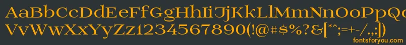 フォントPrida01bold – 黒い背景にオレンジの文字