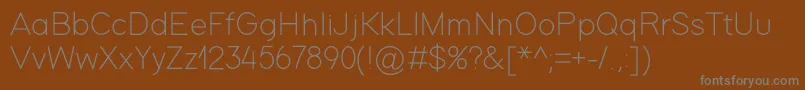 ModernSansLight Font – Gray Fonts on Brown Background