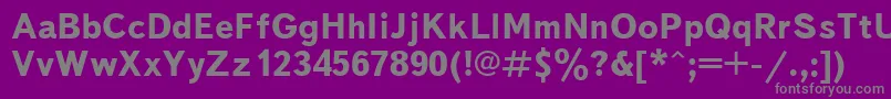 UkrainiantextbookBold Font – Gray Fonts on Purple Background