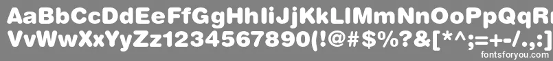 フォントHelveticaroundedltstdBlack – 灰色の背景に白い文字