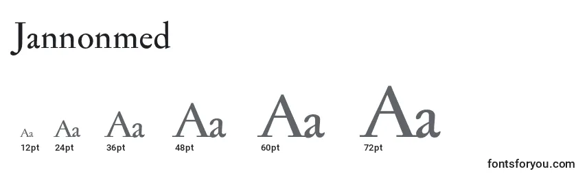 Jannonmed Font Sizes