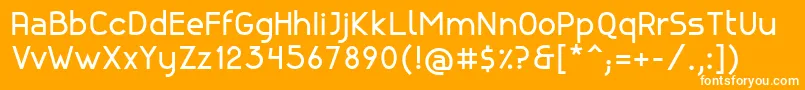 フォントCanelaBold – オレンジの背景に白い文字