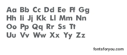 FuturaBold Font
