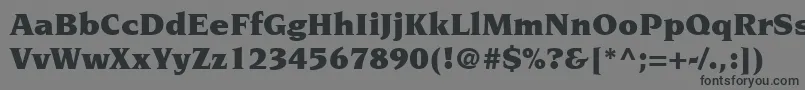 ItcNovareseLtUltra Font – Black Fonts on Gray Background