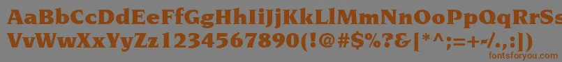 ItcNovareseLtUltra-fontti – ruskeat fontit harmaalla taustalla