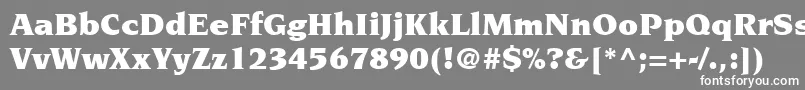 Шрифт ItcNovareseLtUltra – белые шрифты на сером фоне