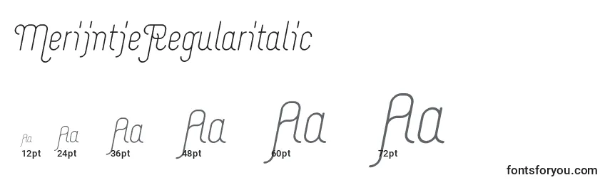 MerijntjeRegularitalic Font Sizes