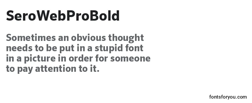 SeroWebProBold-fontti
