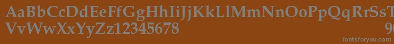 フォントMelrareSemibold – 茶色の背景に灰色の文字