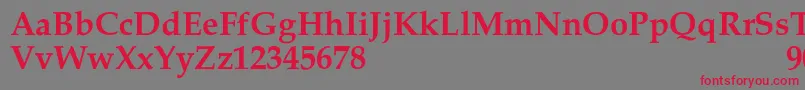 MelrareSemibold Font – Red Fonts on Gray Background