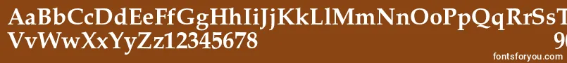 Шрифт MelrareSemibold – белые шрифты на коричневом фоне