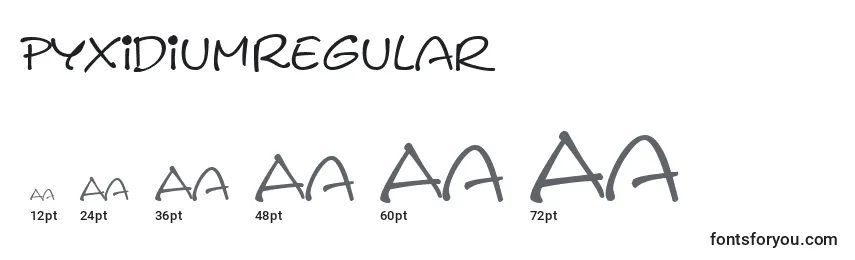 Размеры шрифта PyxidiumRegular