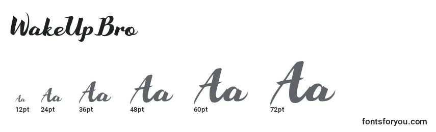 WakeUpBro Font Sizes