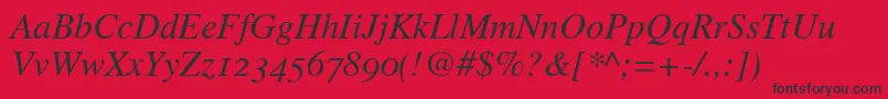 TimesItalicOldStyleFigures Font – Black Fonts on Red Background