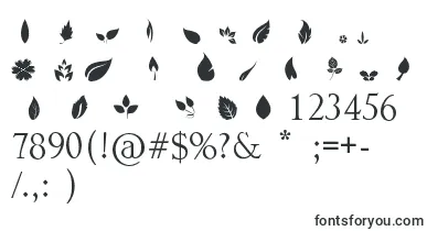 Leafs font – Fonts Nature