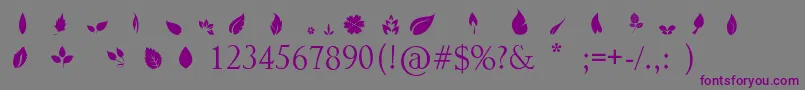 Шрифт Leafs – фиолетовые шрифты на сером фоне