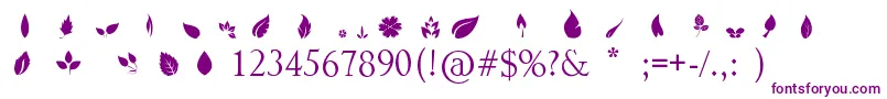 Leafs Font – Purple Fonts on White Background