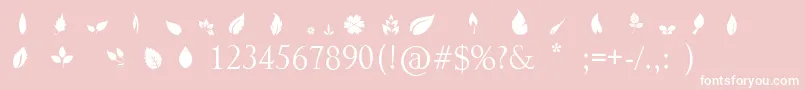 Leafs Font – White Fonts on Pink Background