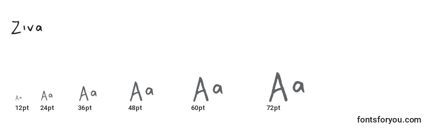 Размеры шрифта Ziva