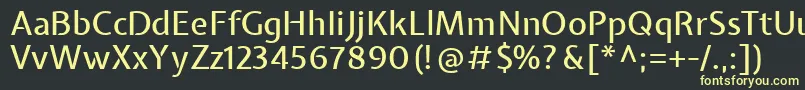 フォントExpletussansMedium – 黒い背景に黄色の文字