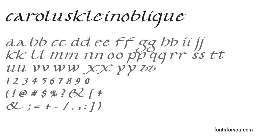 A fonte CaroluskleinOblique – alfabeto, números, caracteres especiais