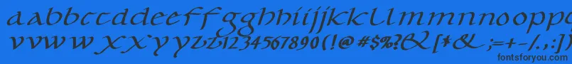 CaroluskleinOblique Font – Black Fonts on Blue Background