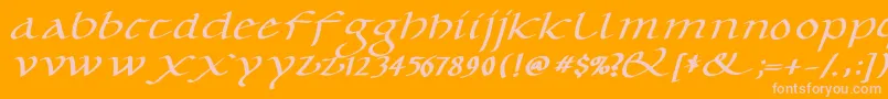 CaroluskleinOblique Font – Pink Fonts on Orange Background