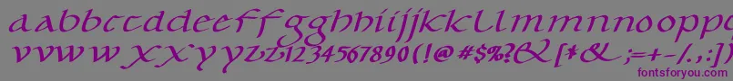 CaroluskleinOblique Font – Purple Fonts on Gray Background