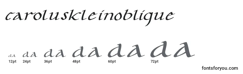 Размеры шрифта CaroluskleinOblique