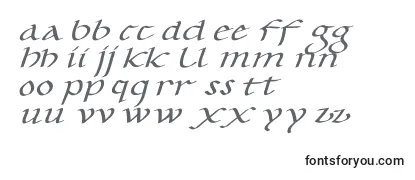 Обзор шрифта CaroluskleinOblique