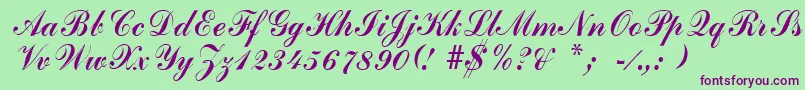 ArenskiRegular Font – Purple Fonts on Green Background