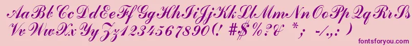 ArenskiRegular Font – Purple Fonts on Pink Background