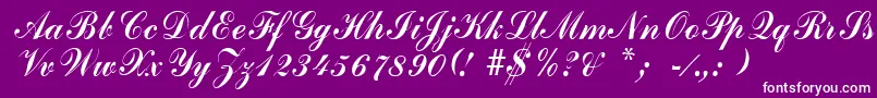 ArenskiRegular Font – White Fonts on Purple Background