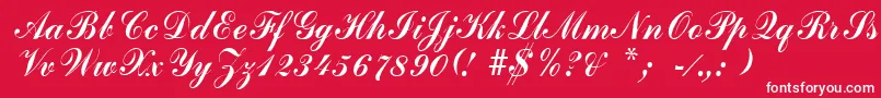 ArenskiRegular-Schriftart – Weiße Schriften auf rotem Hintergrund