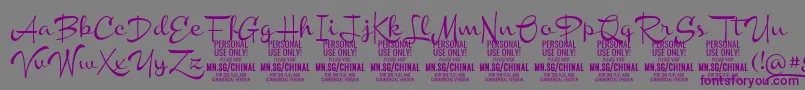 ChinalmediumPersonalUse Font – Purple Fonts on Gray Background