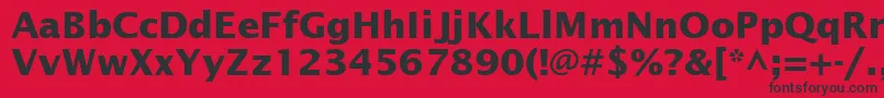 InsightSansSsiBold Font – Black Fonts on Red Background