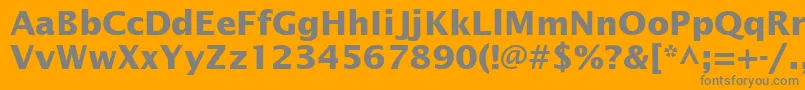 フォントInsightSansSsiBold – オレンジの背景に灰色の文字